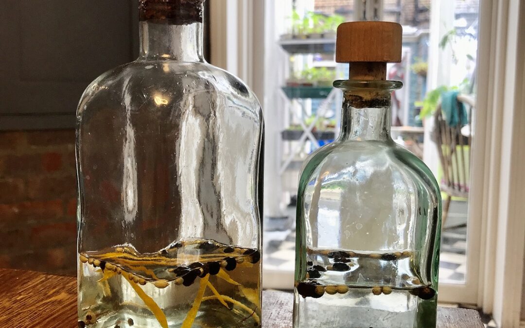 The sort of cheating way to make gin… but its great!