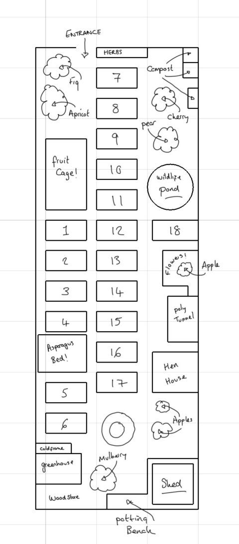 The Plot 37 Project | A Map of the Plot | Plot 37