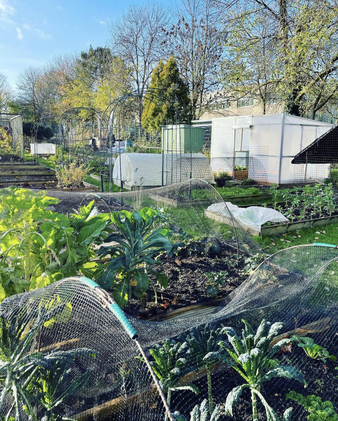Plot View