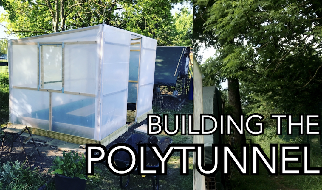 The Polytunnel: The Build