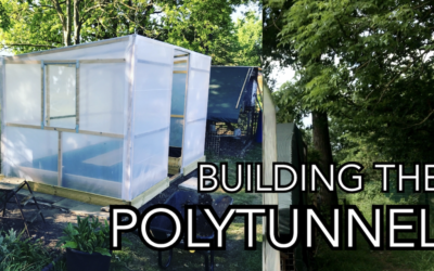 The Polytunnel: The Build
