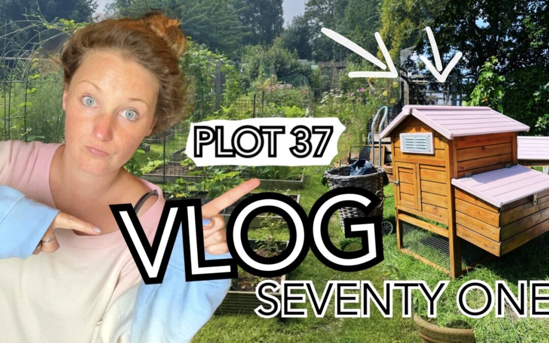 The Hen House – Making sure it’s safe and secure for the New Chickens || Plot 37 ( Vlog Episode 71)